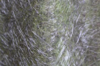 Purley On Thames fibreglass roof work